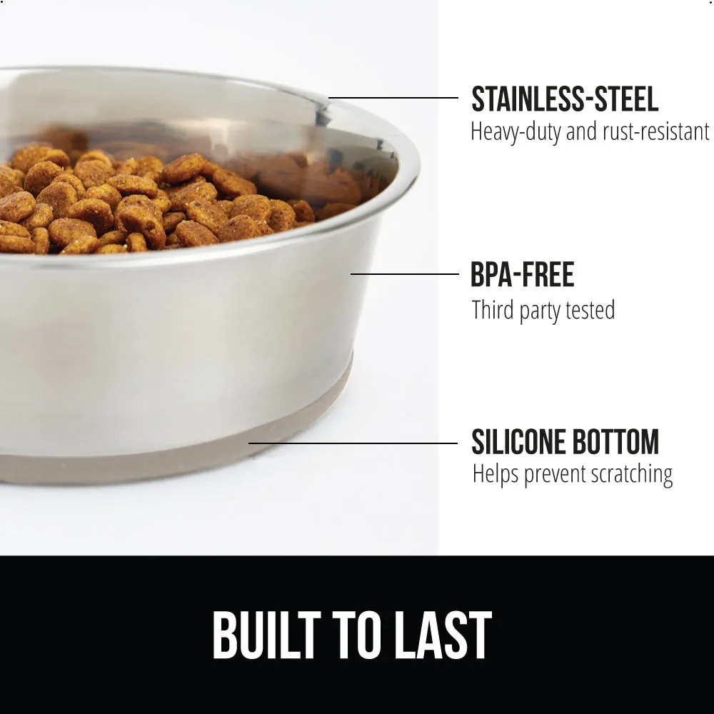 Stainless Steel Dog Bowl (Set of 2)