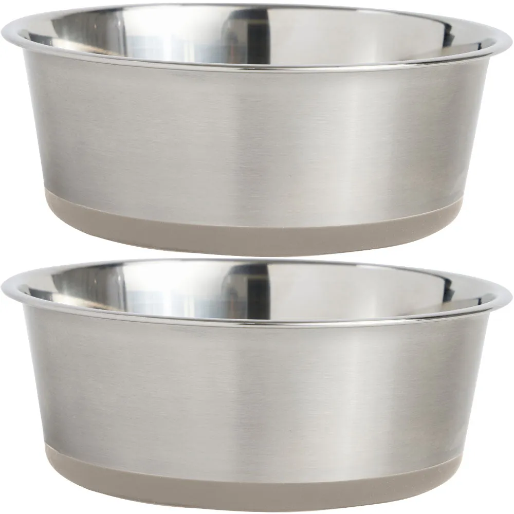 Stainless Steel Dog Bowl (Set of 2)
