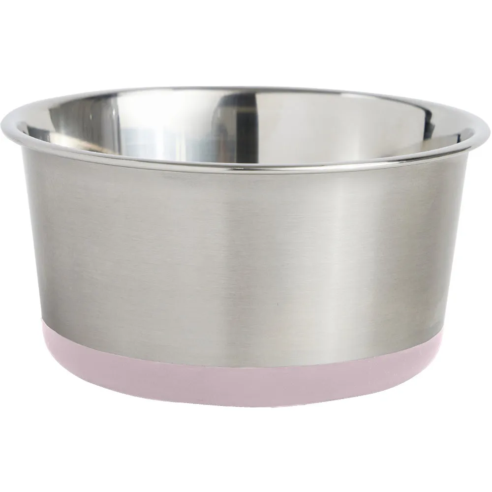 Stainless Steel Dog Bowl (Set of 2)