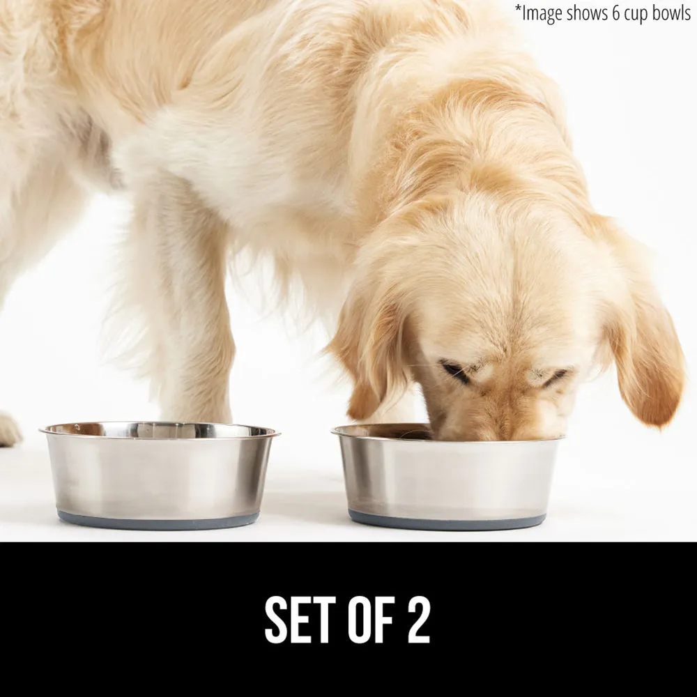 Stainless Steel Dog Bowl (Set of 2)