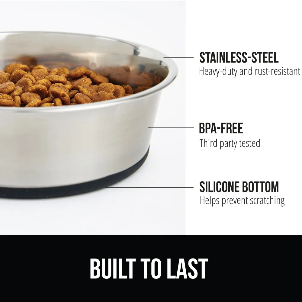 Stainless Steel Dog Bowl (Set of 2)