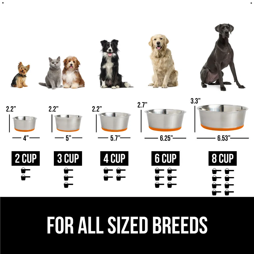 Stainless Steel Dog Bowl (Set of 2)