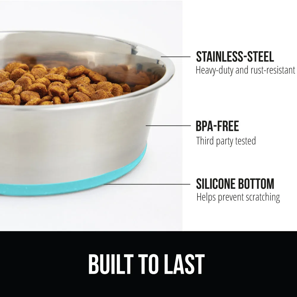 Stainless Steel Dog Bowl (Set of 2)