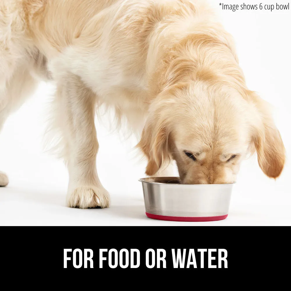 Stainless Steel Dog Bowl (Set of 2)