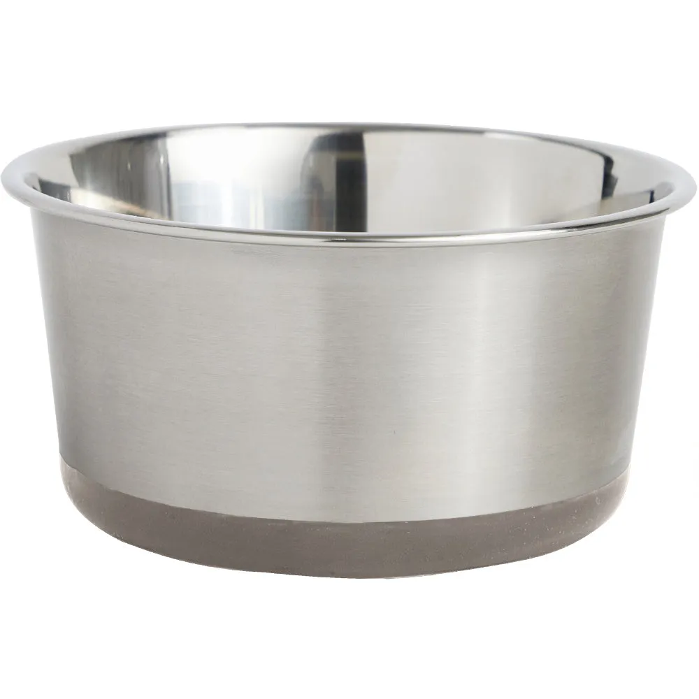 Stainless Steel Dog Bowl (Set of 2)