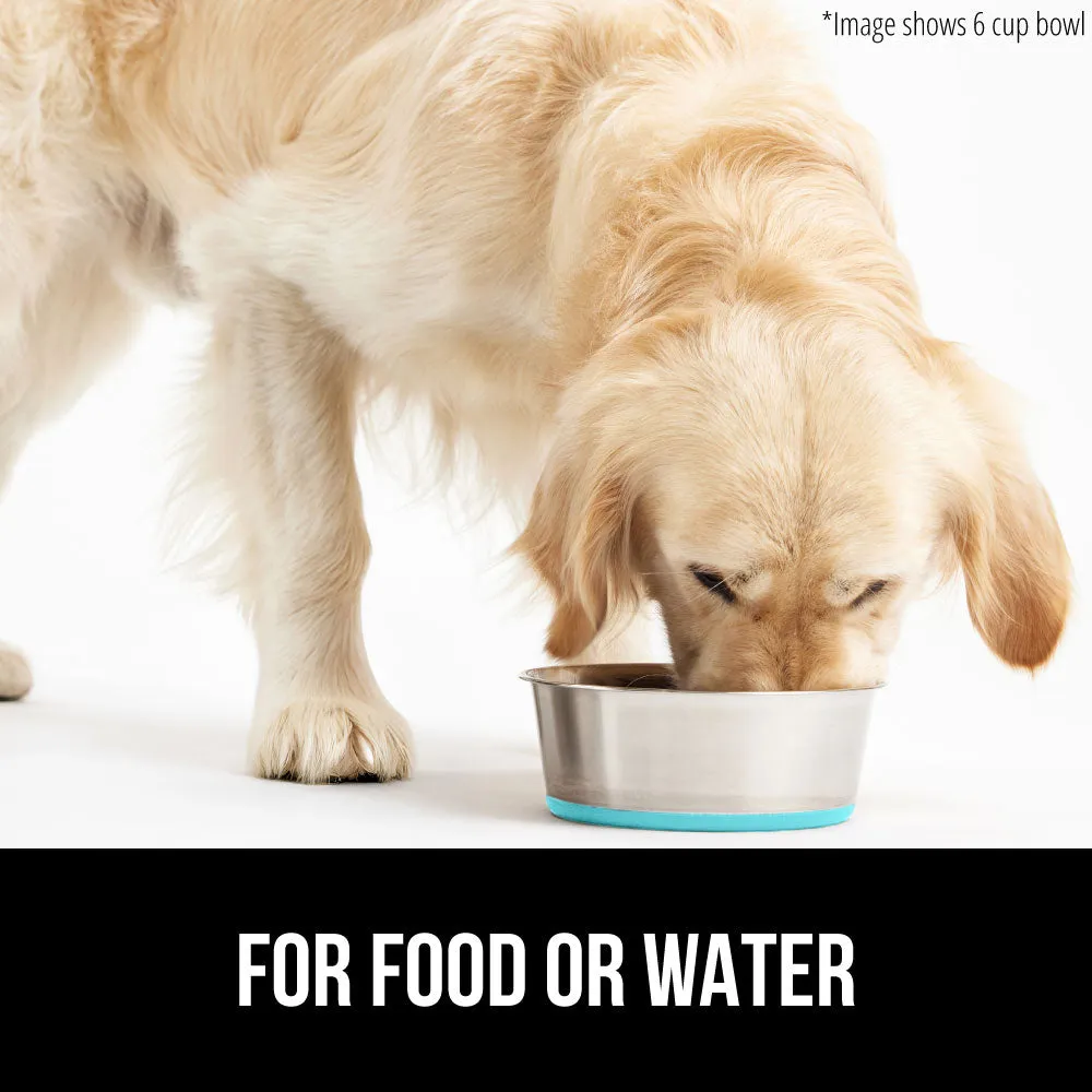 Stainless Steel Dog Bowl (Set of 2)