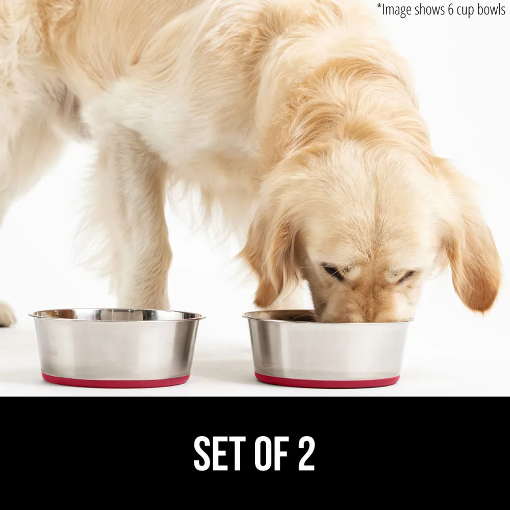 Stainless Steel Dog Bowl (Set of 2)