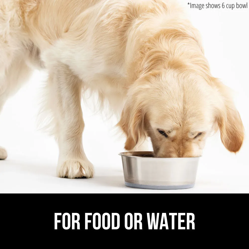Stainless Steel Dog Bowl (Set of 2)