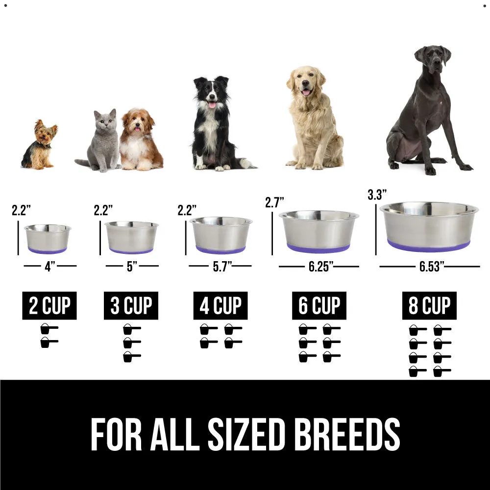 Stainless Steel Dog Bowl (Set of 2)
