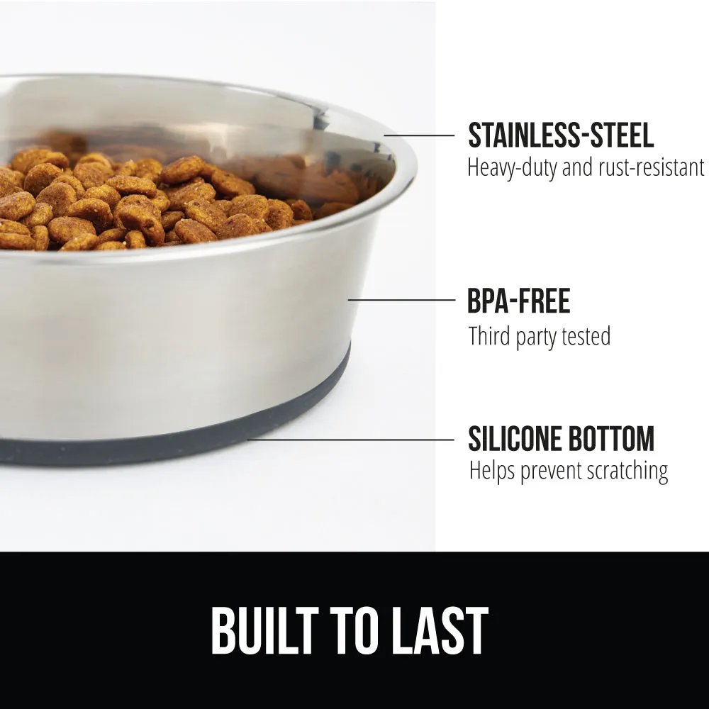 Stainless Steel Dog Bowl (Set of 2)