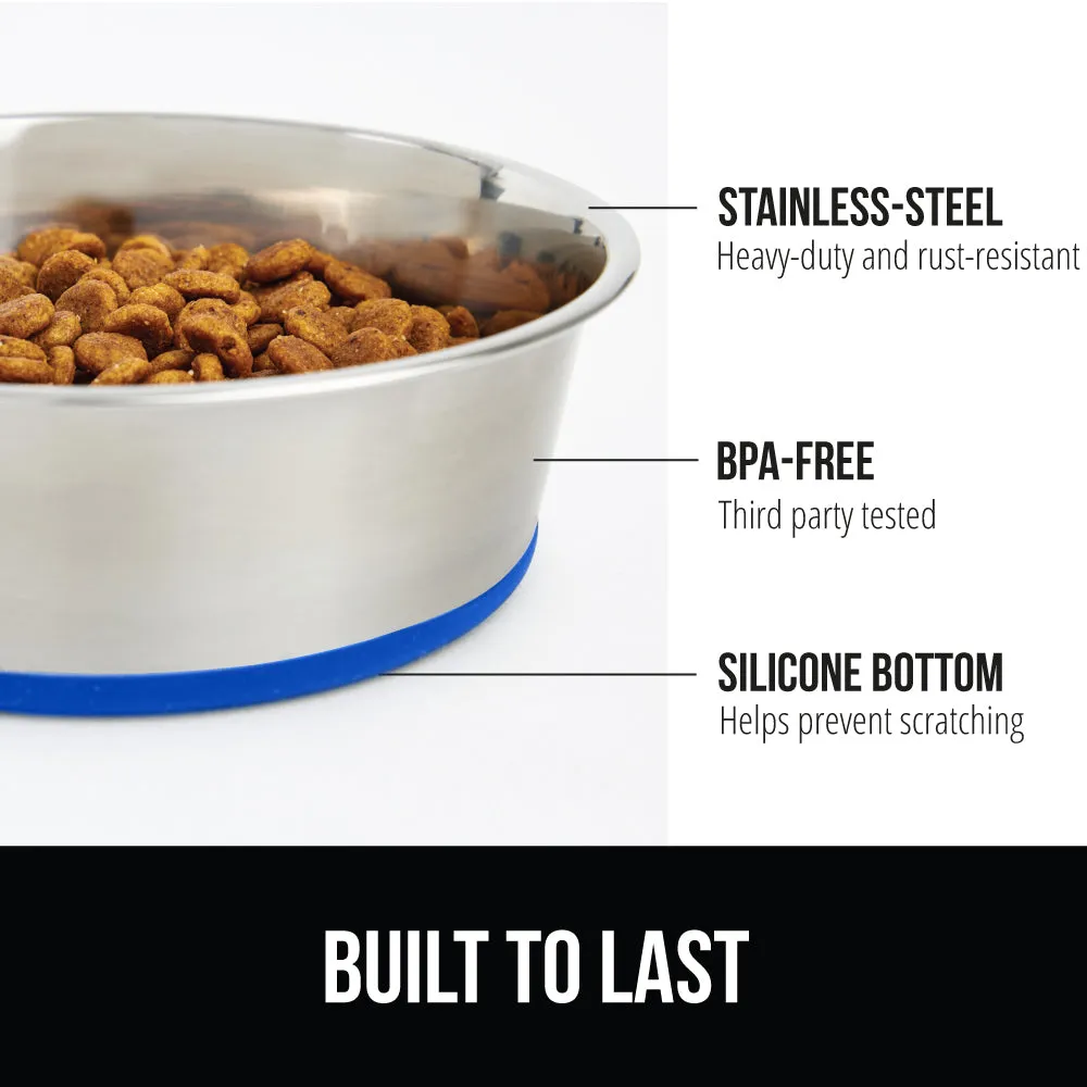 Stainless Steel Dog Bowl (Set of 2)