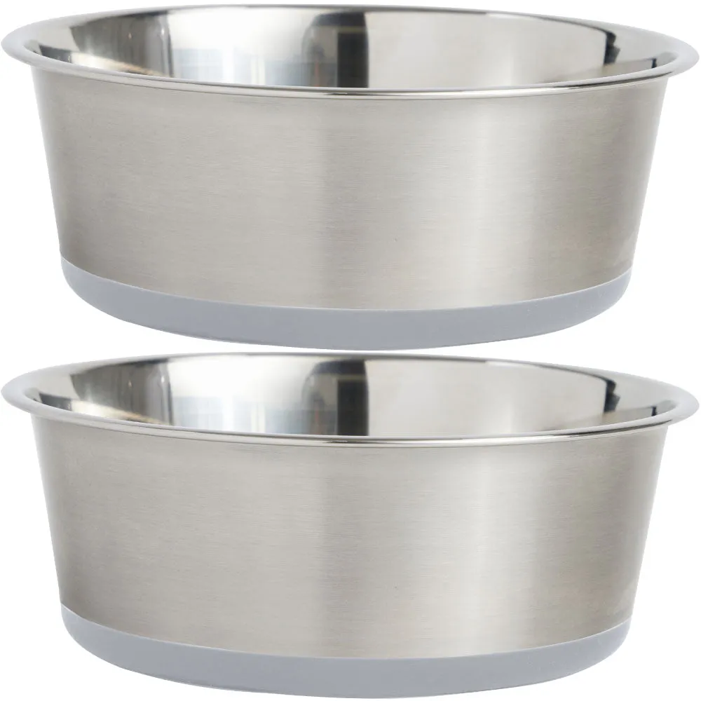 Stainless Steel Dog Bowl (Set of 2)