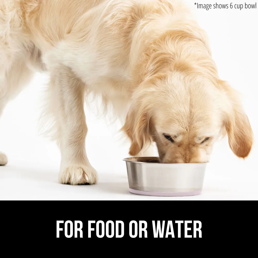 Stainless Steel Dog Bowl (Set of 2)