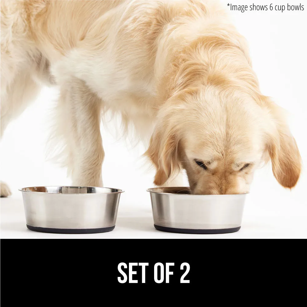 Stainless Steel Dog Bowl (Set of 2)