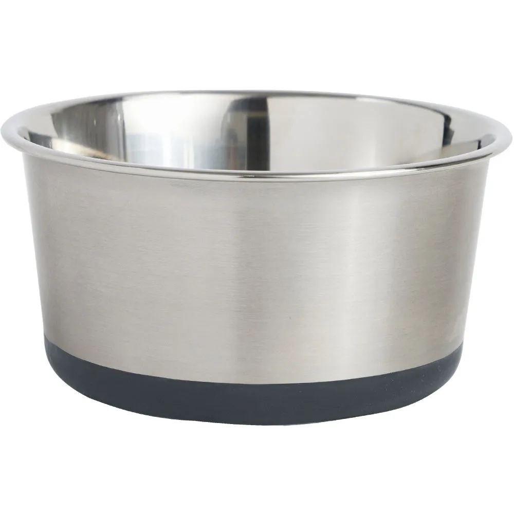 Stainless Steel Dog Bowl (Set of 2)