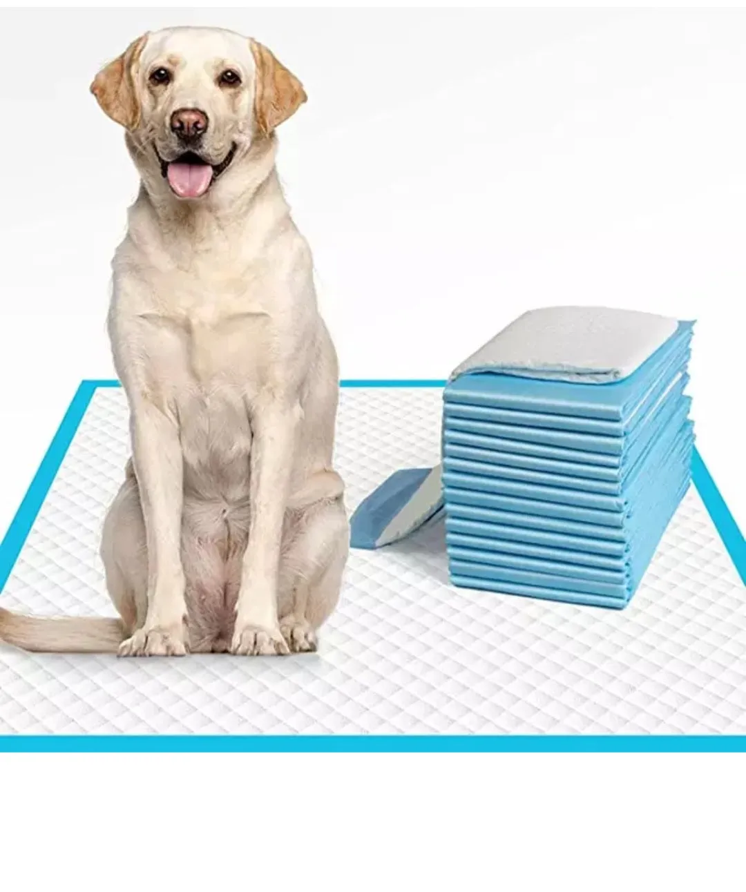 Super Absorbent Pet Pee Pads, leakproof training pads