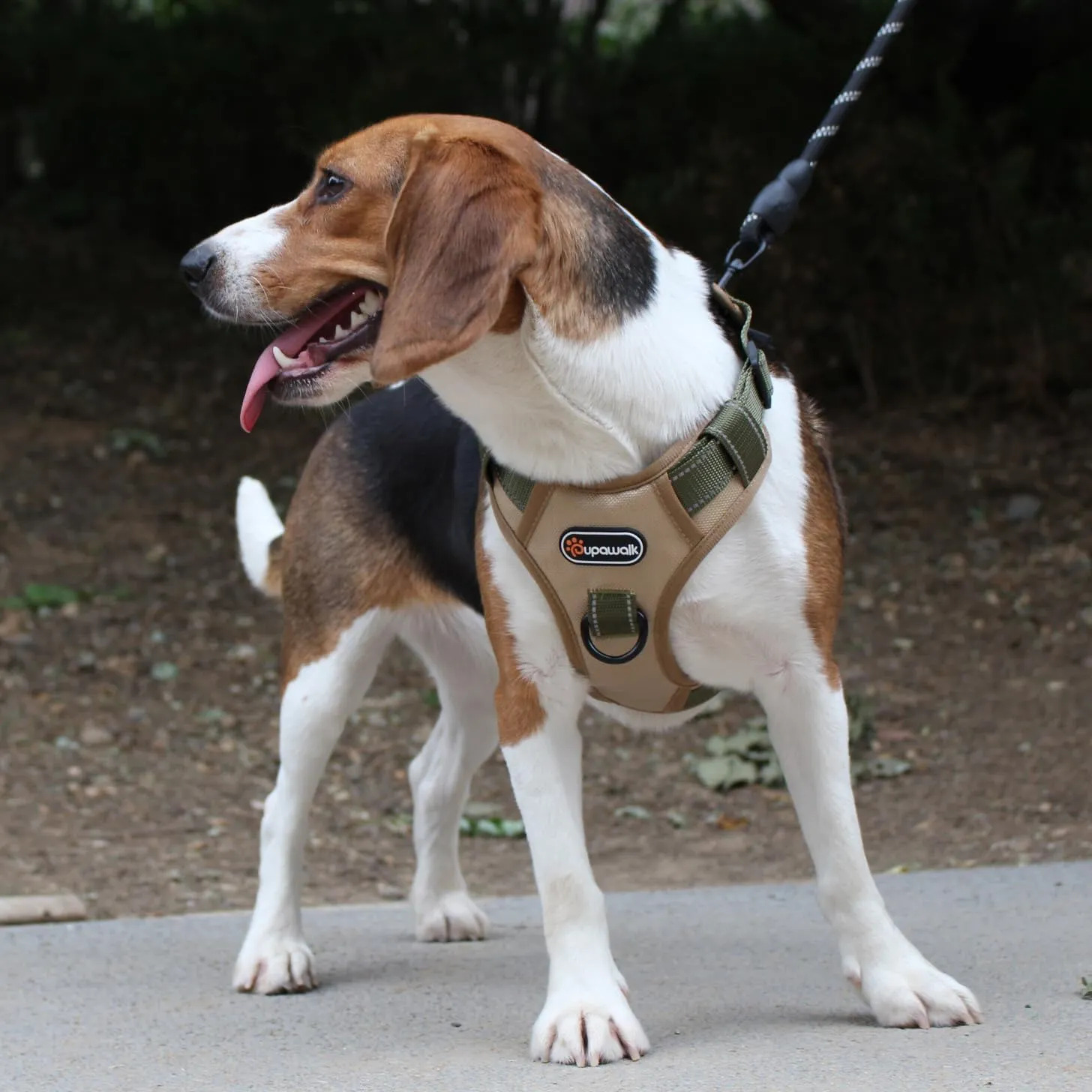 Tactical Dog Harness and Leash Set, No-Pull Adjustable Puppy Vest Collar with Handle, Dual Leash Clips, Reflective Oxford Chest Harnesses with Leashes for Small Dogs Pulling Support S Size