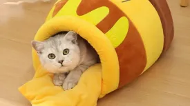 Themed Cat Bed Adorable Honey Jar