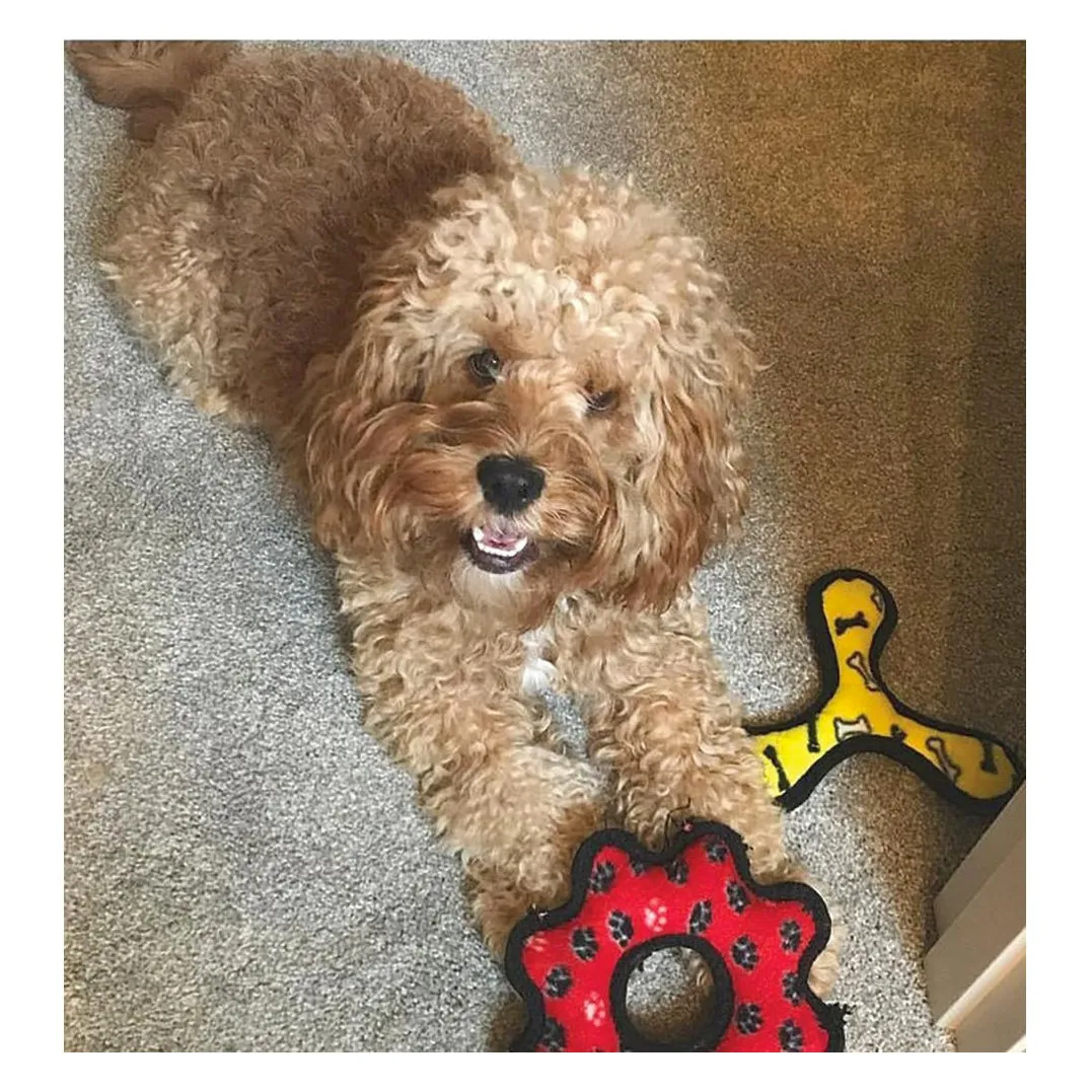 Tuffy JR Boomerang