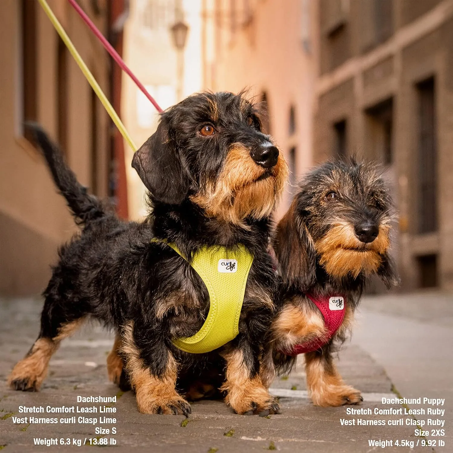 Vest Harness curli Clasp Air-Mesh Ruby S
