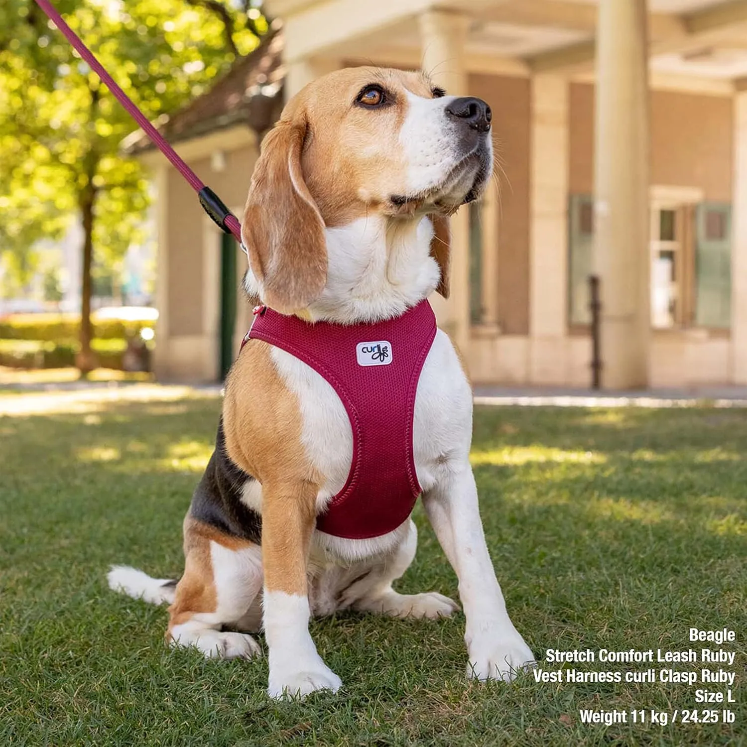 Vest Harness curli Clasp Air-Mesh Ruby S