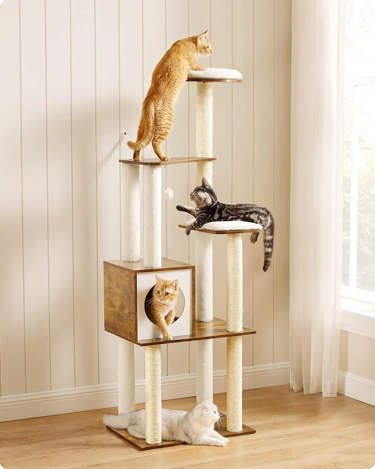 Woodywonders Cat Tree, 65-Inch Modern Cat Tower for Indoor Cats,