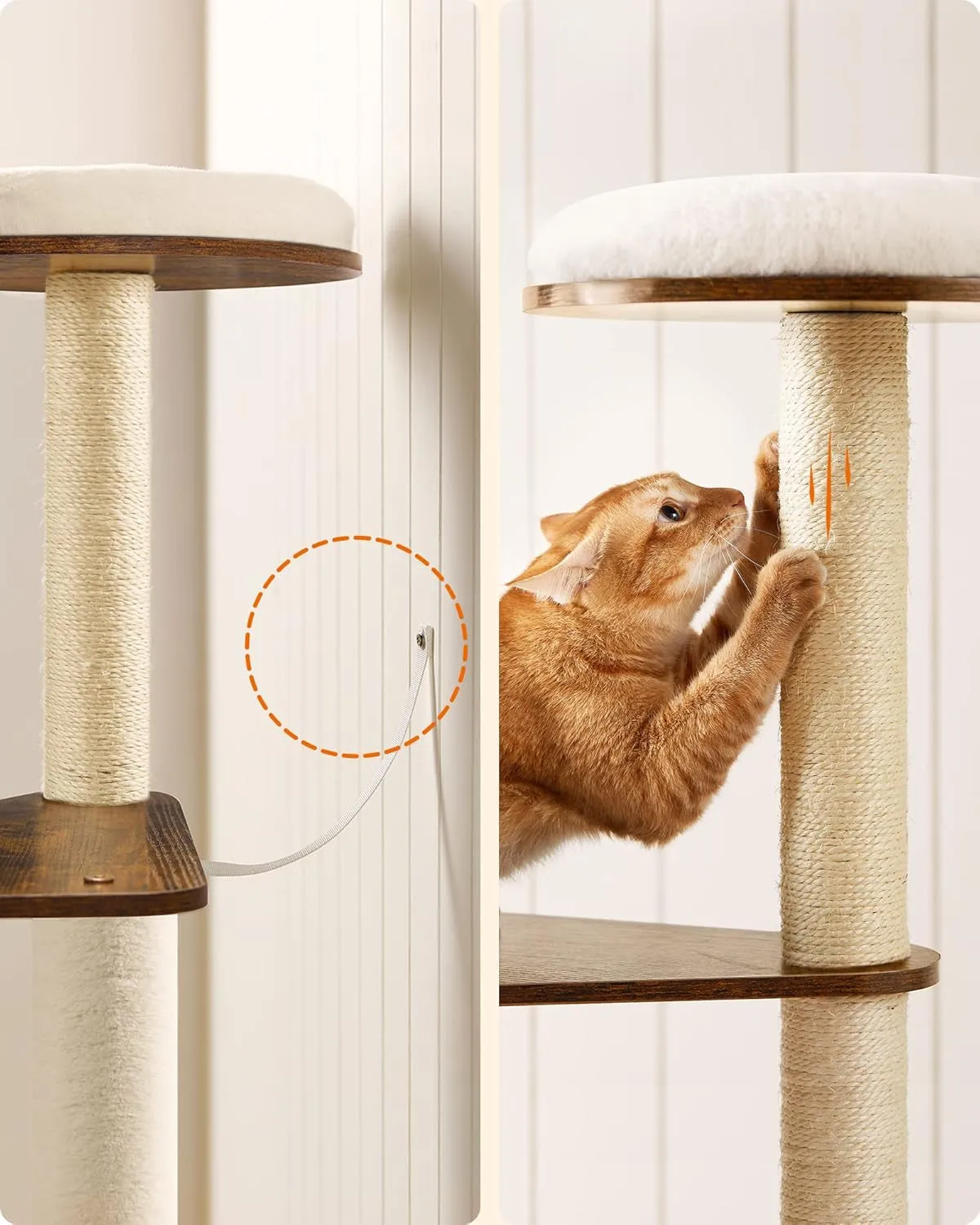 Woodywonders Cat Tree, 65-Inch Modern Cat Tower for Indoor Cats,