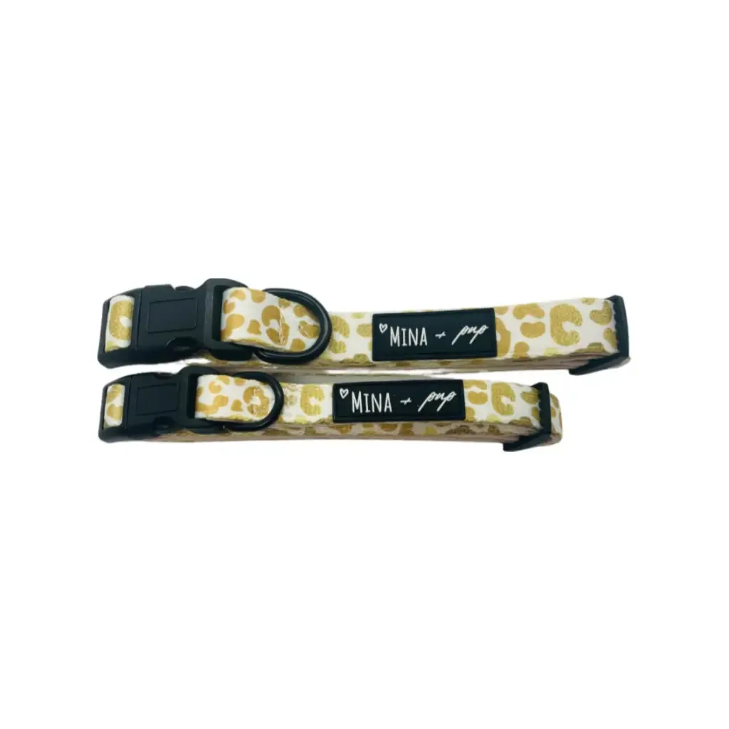 You're So Golden Adjustable Collar