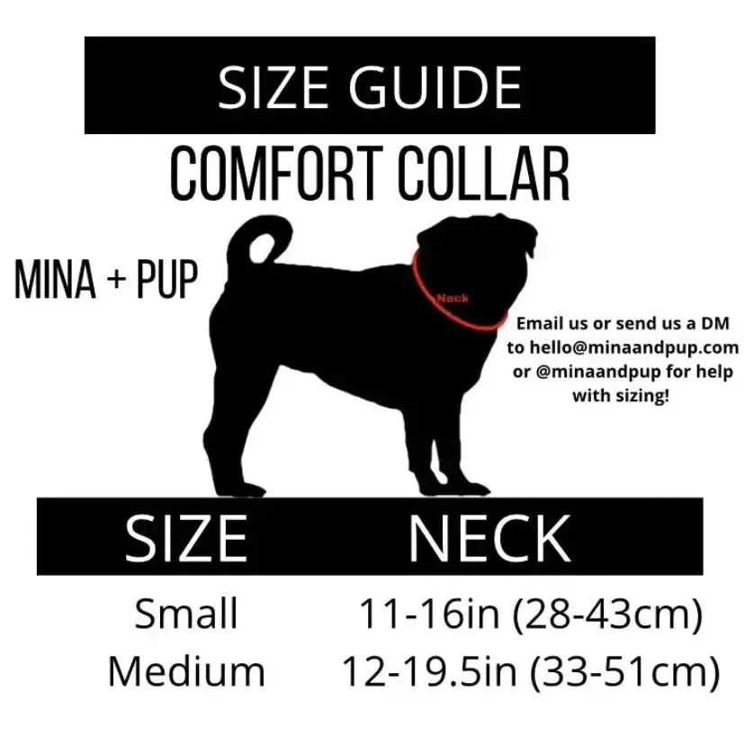 You're So Golden Adjustable Collar